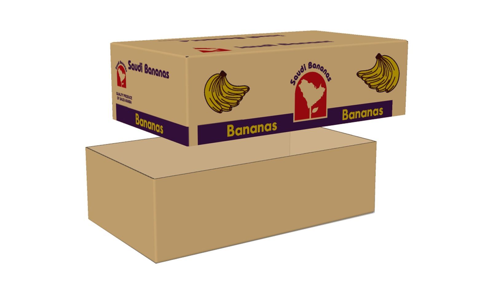 Half Slotted Containers (HSC)